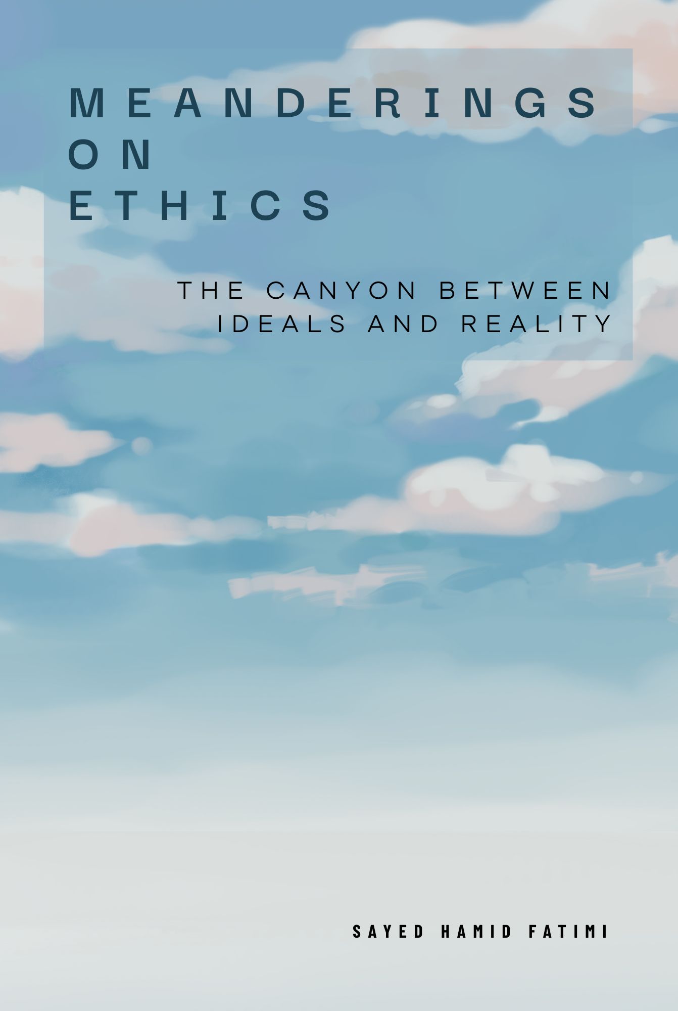 Meanderings on Ethics: The Canyon Between Ideals and Reality — front cover